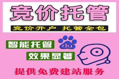 某某sem公司成功案例分享：从零到一的营销策略